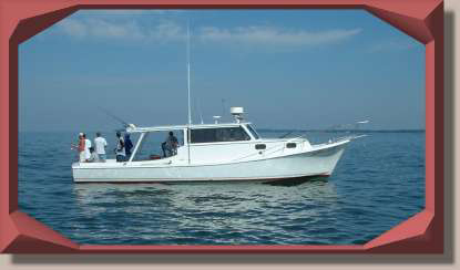 www.plumbcrazycharters.com